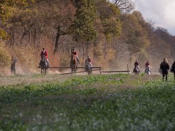 IMG_9778web